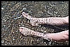 Nyllady_feet_in_the_water_2.jpg