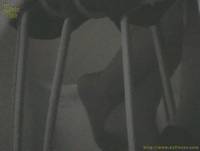 Feet Under The Table - The N.1 Resource for female feet seduction scenes - Videos, pictures and stories of women seducing men with their feet